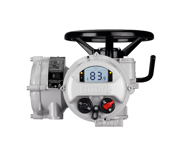 羅托克電動執行器的IQ設定工具有什么作用？是否好用？